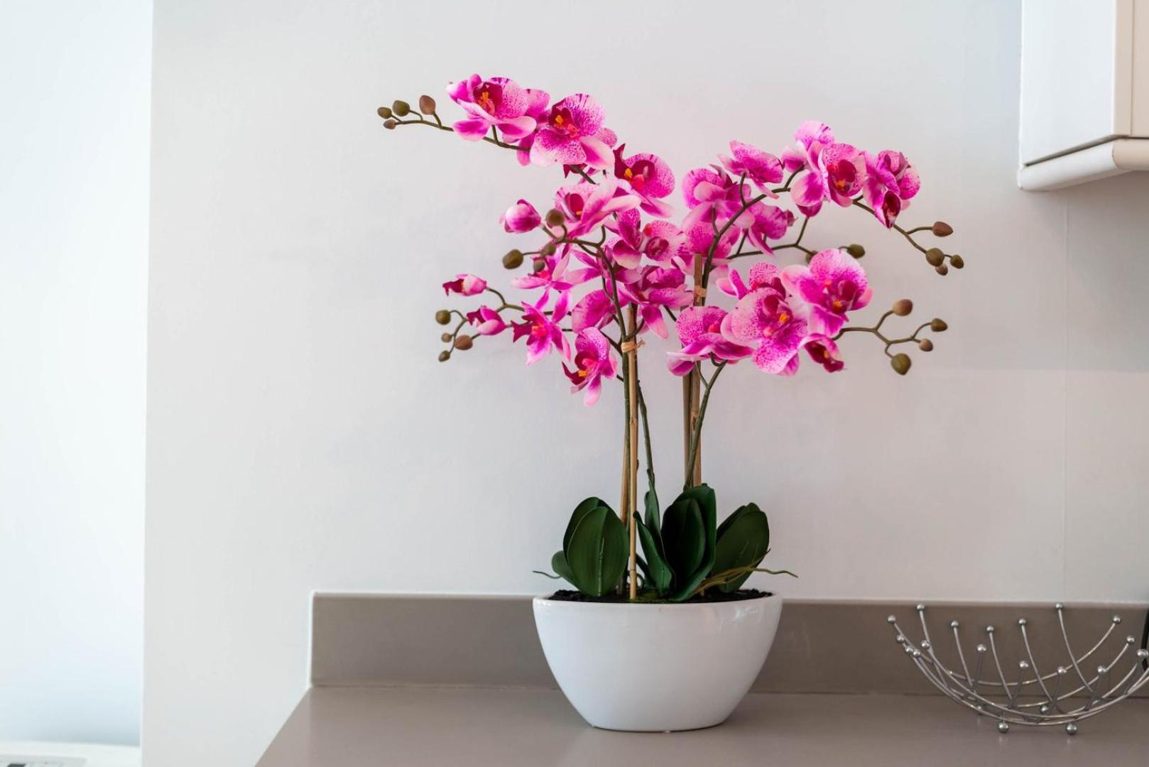 Guestready - Stunning Covent Garden 2Br Duplex Leilighet London Eksteriør bilde